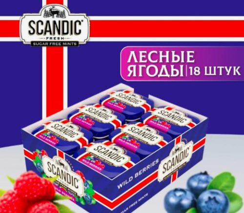 Scandic конфеты 12бл*18шт Лесные ягоды (П-80,Р-10)